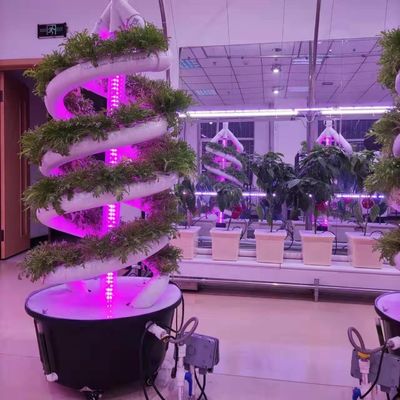 Plante en spirale verticale Croître une tour hydroponique Cultiver un jardin Système d'aéroponique