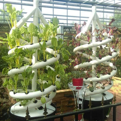 L'usine en spirale verticale de famille élèvent la culture végétale d'intérieur d'aérosol de tour hydroponique