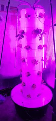 Système hydroponique Tour aéroponique pour la culture rotative des fraises et des légumes à feuilles