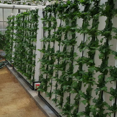 Système hydroponique de jardinage intérieur Zipgrow avec lumière LED