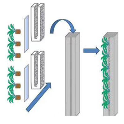 Skyplant Systèmes de culture hydroponique de contrôle du climat vertical NFT personnalisés