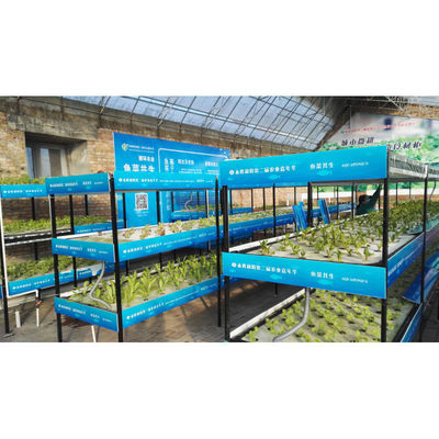 Aquaponie Système de culture hydroponique en serre Réservoir de poissons pour poissons et légumes