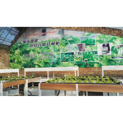 Aquaponie Système de culture hydroponique en serre Réservoir de poissons pour poissons et légumes