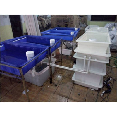 Aquaponie Système de culture hydroponique en serre Réservoir de poissons pour poissons et légumes