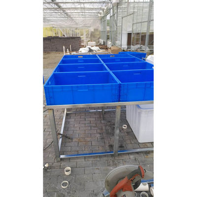Aquaponie Système de culture hydroponique en serre Réservoir de poissons pour poissons et légumes