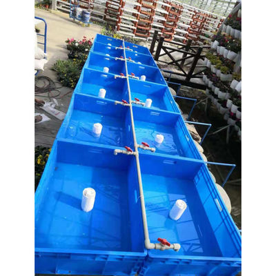 Aquaponie Système de culture hydroponique en serre Réservoir de poissons pour poissons et légumes