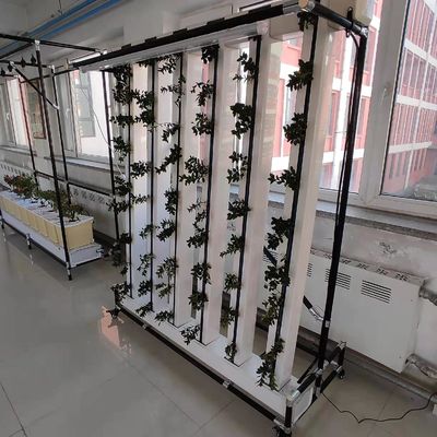 Système de culture verticale des fraises et des fleurs